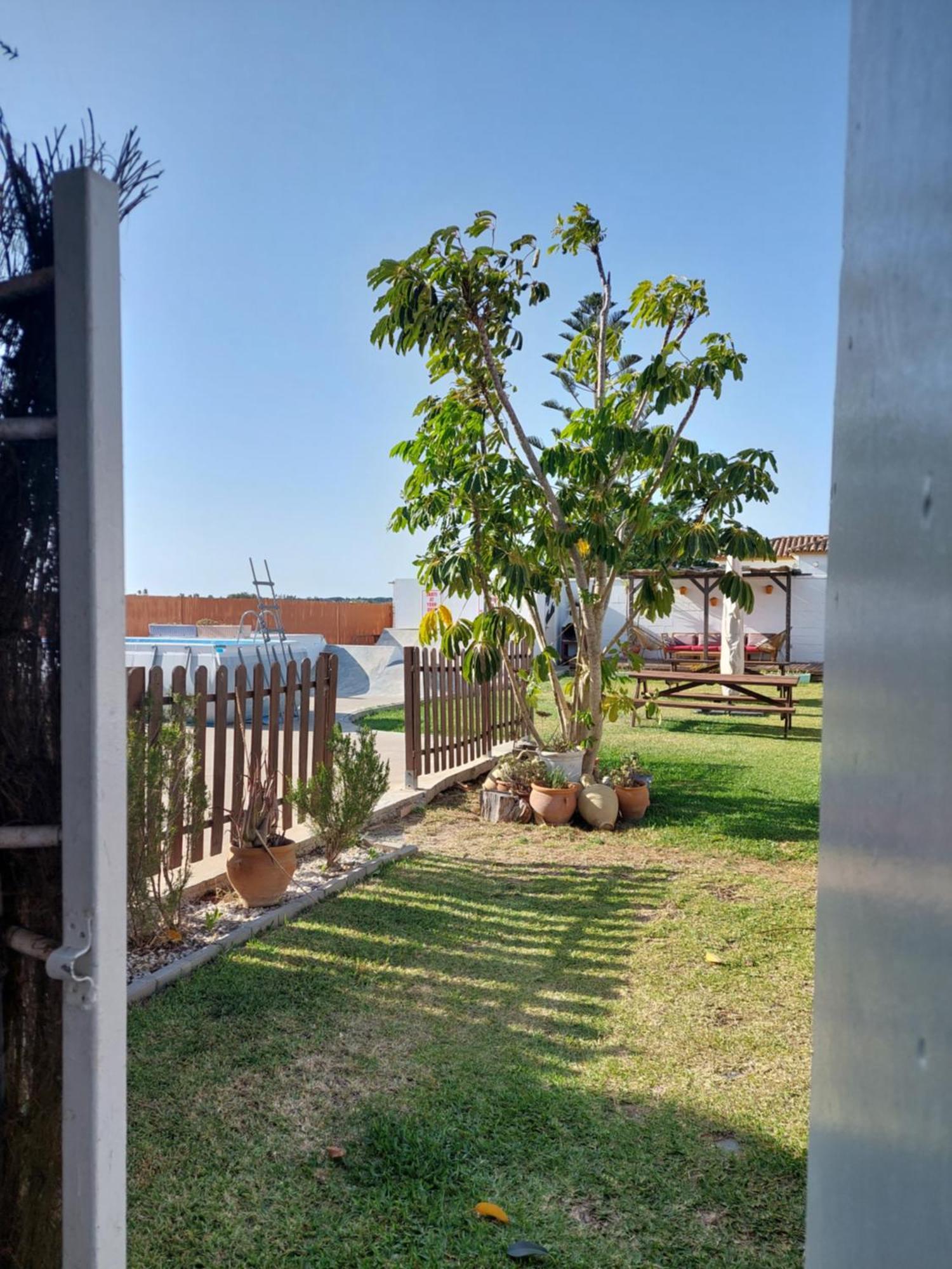 Single Fin Conil Villa Conil De La Frontera Ngoại thất bức ảnh